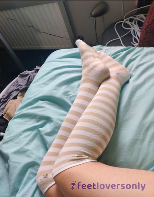 24 Hour Over Knee Socks