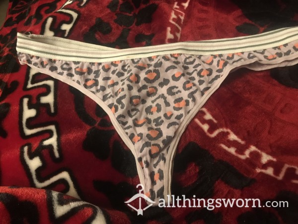 24 Hr+ Cotton Thong BBW