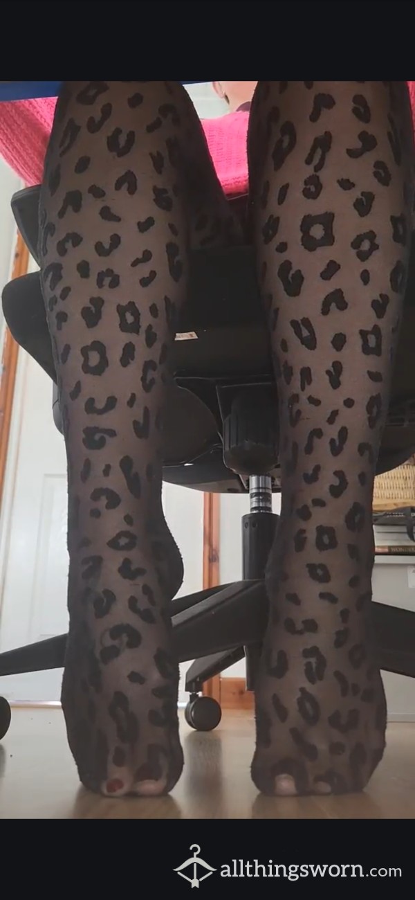 3min Under Desk Video In Leopard Print Tights