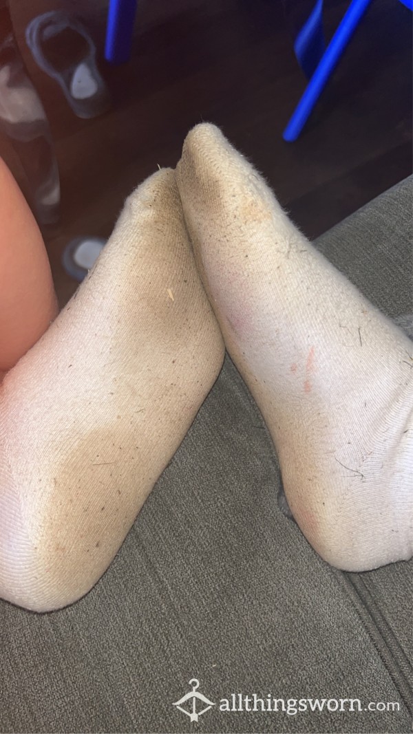 48h Sweaty Socks