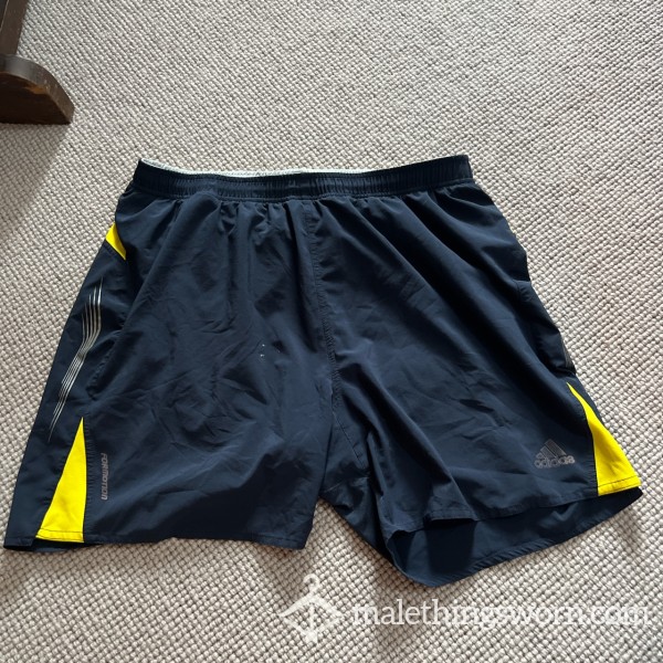 Adidas Gym/painting Shorts