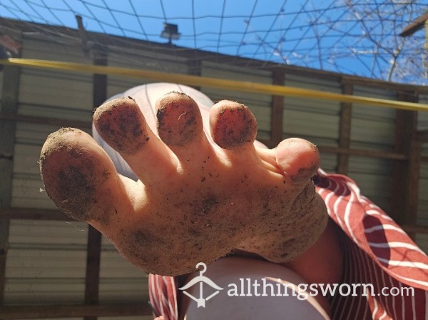 BBW Giantess Filthy Feet