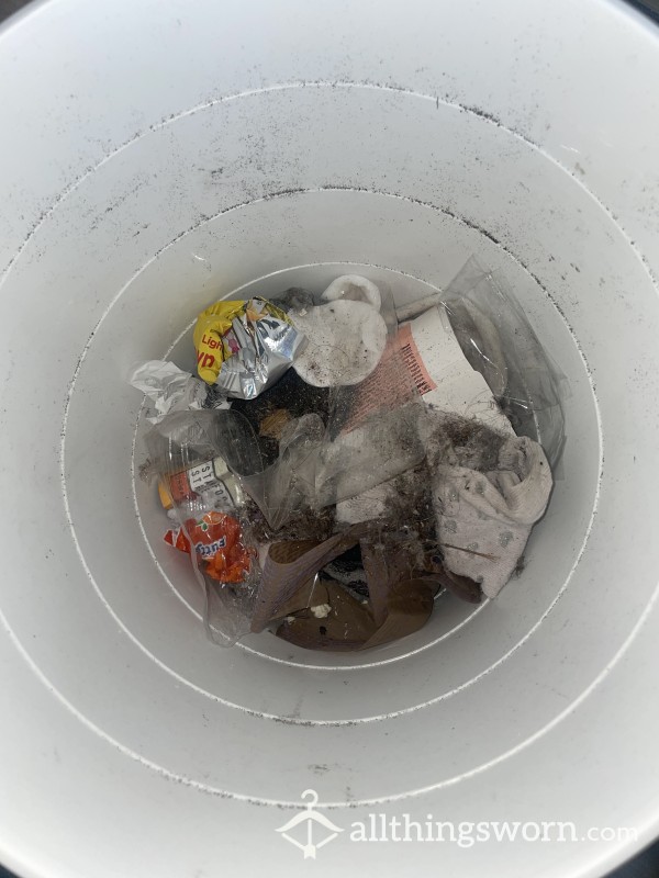 Bin Contents