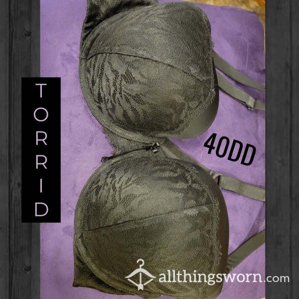 Black Bra With Lace Detail (Torrid 40DD)