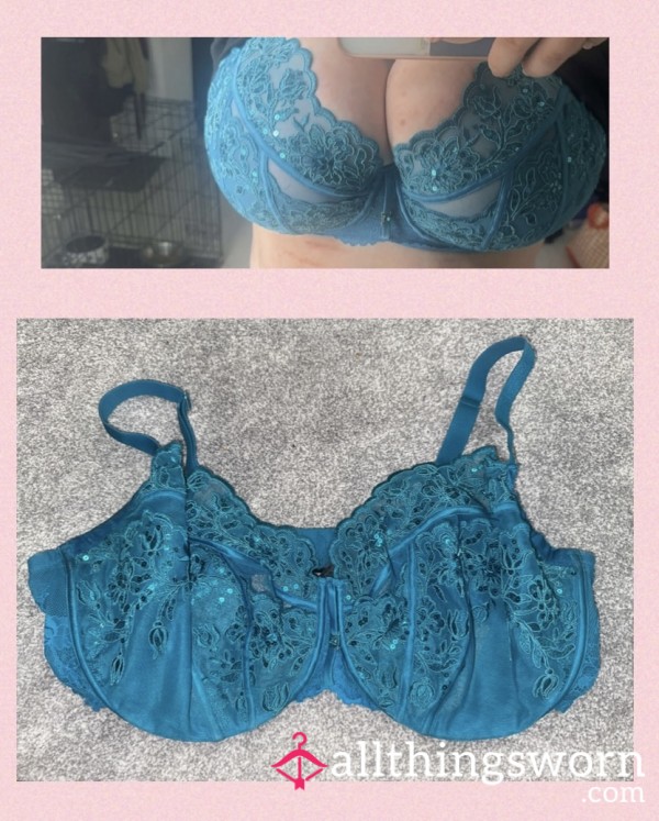 Blue Bra