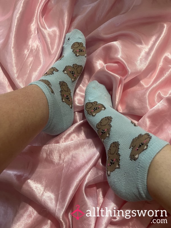 Blue Koala Bear Socks Worn For You 🐨