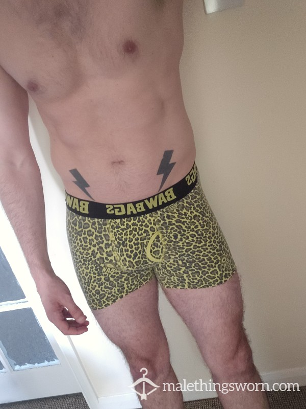 Boxers Cheetah Print Used