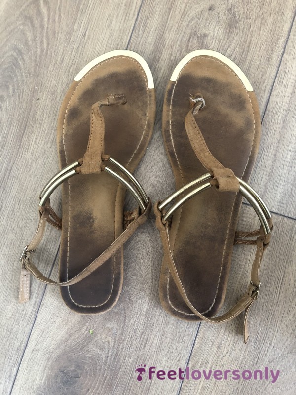 Brown Suede & Gold Bars Sandals