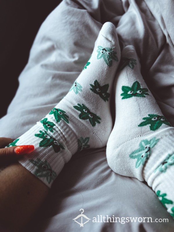 Socks 🍁🌿