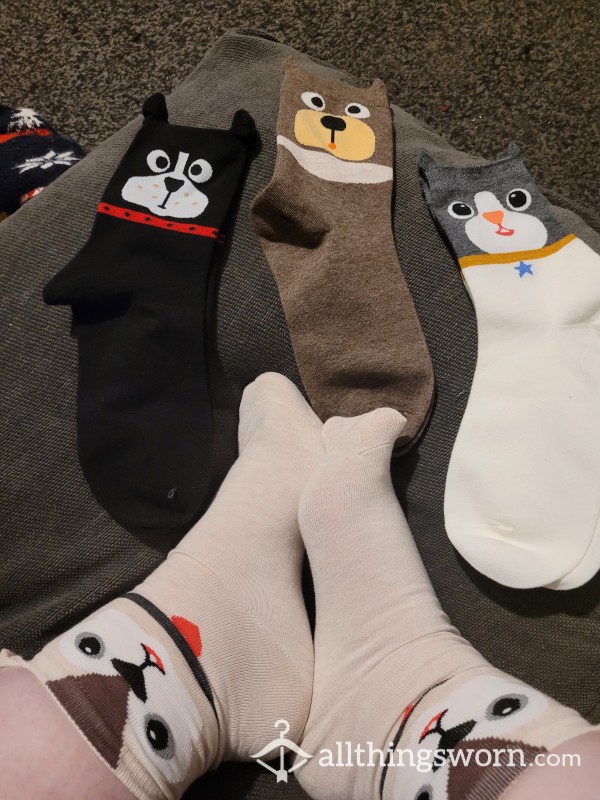 Cat & Dogs Pretty Sockies 🐕 🐈 😻 🐈‍⬛️