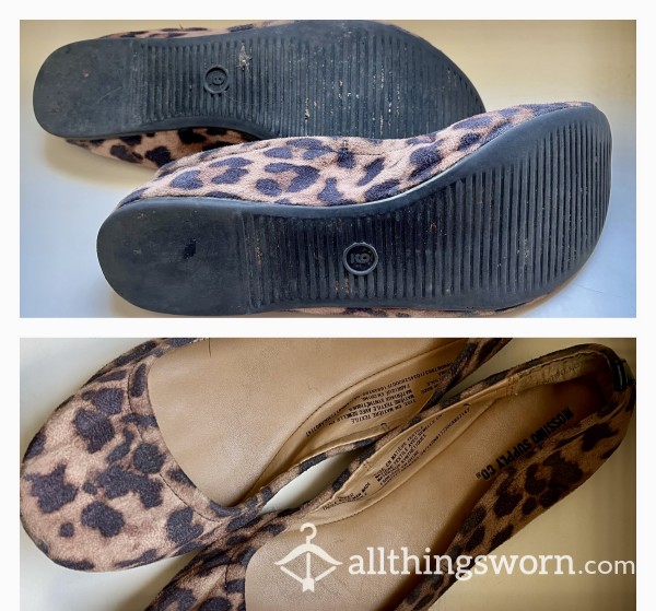 Cheetah Teacher Flats