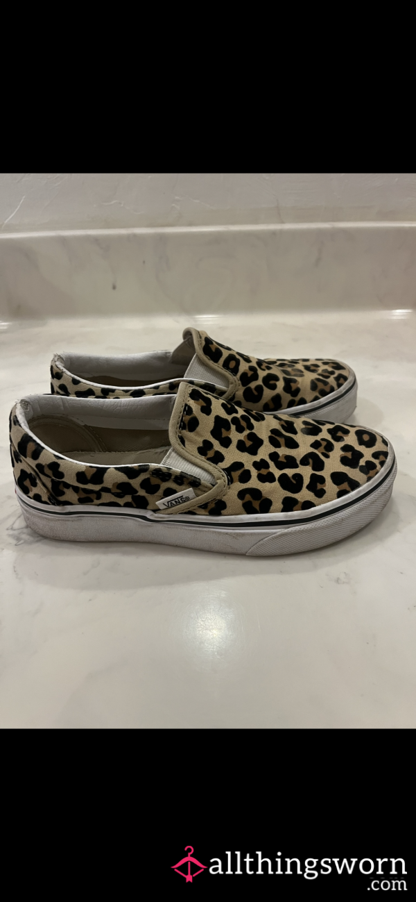 Cheetah Vans