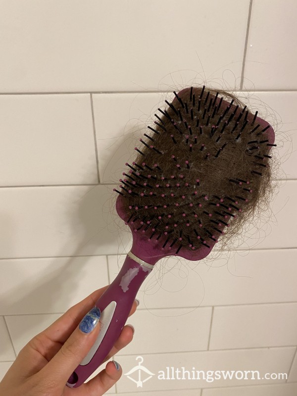 Used Hairbrush