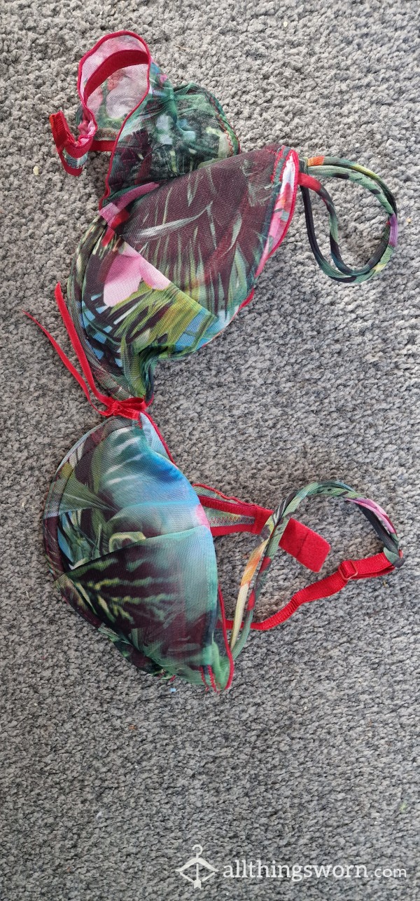 Colorful S**y Padded Bra