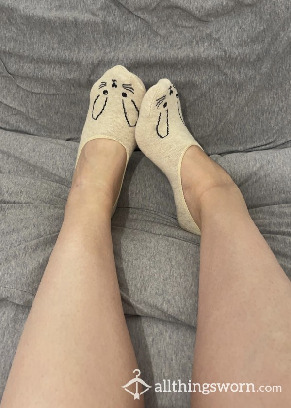 Cute Animal No Show Socks 48 Hour Wear