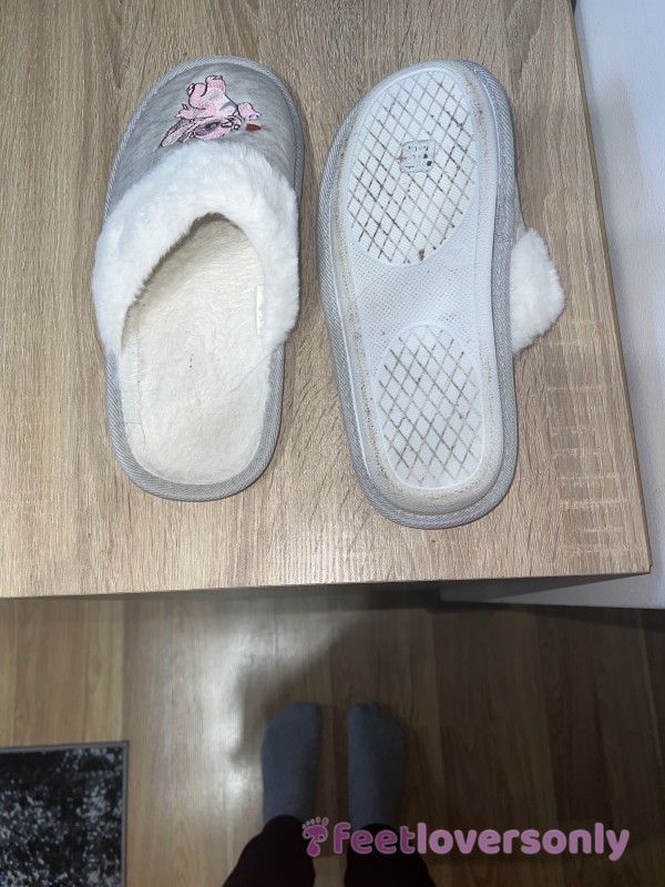 Cute Well Worn Slippers