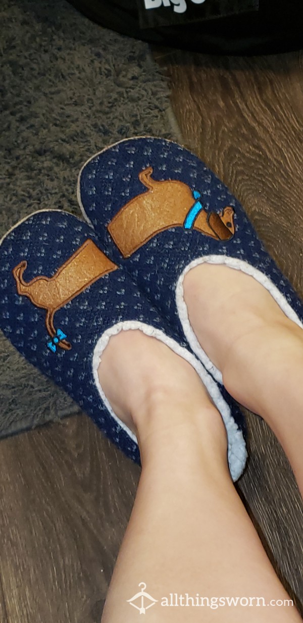 Dachshund Slippers