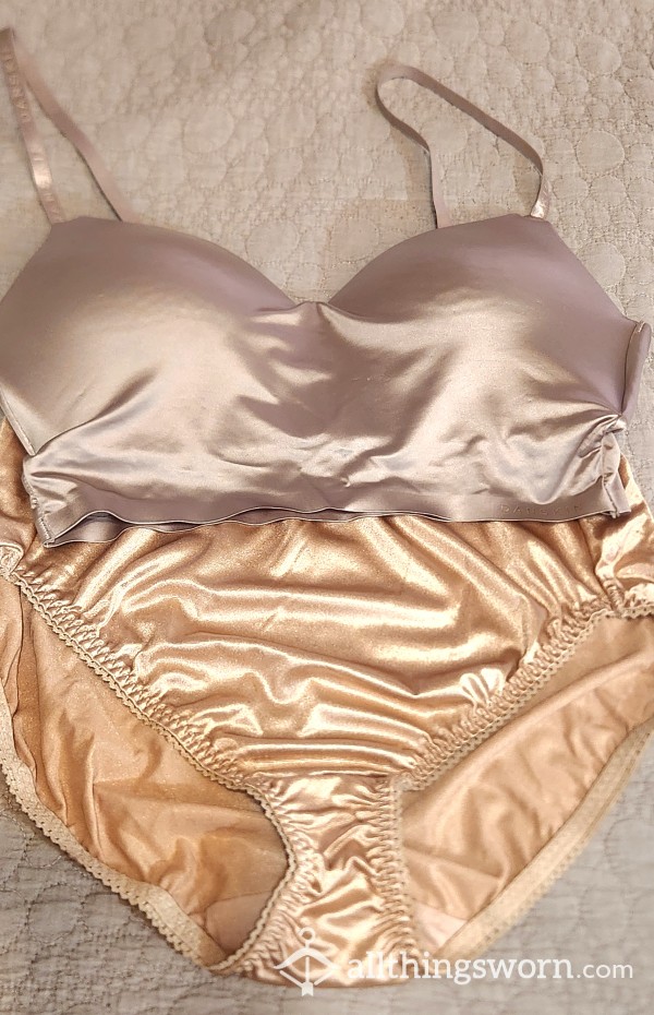 Danskin Satin Bra And Panty Set