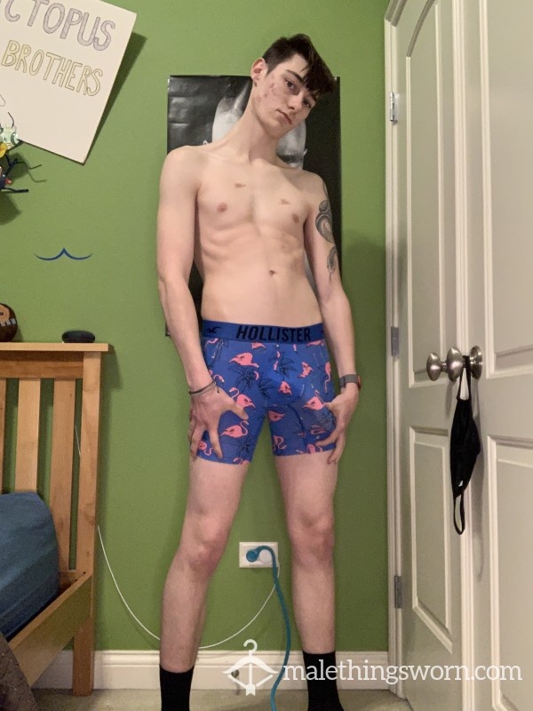 Dark Blue Hollister Boxer Briefs With Flamingos