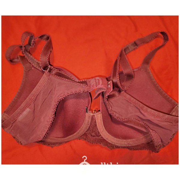 Dirty Old Red Bra $20