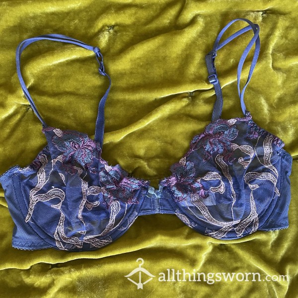 Embroidered Mesh Purple Bra