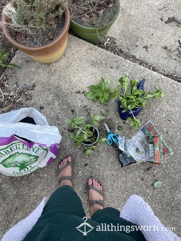 Farm Girl Feet