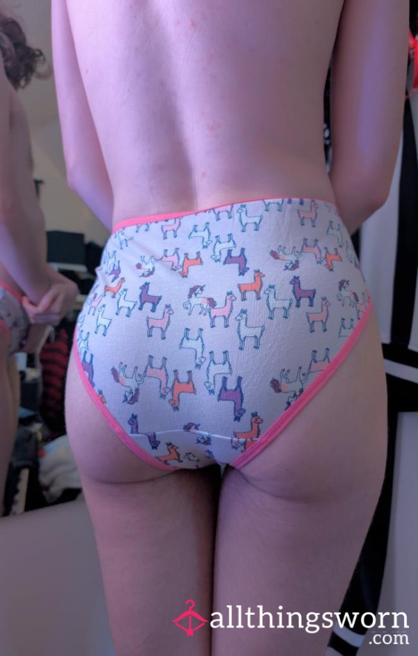 Femboy Panties! (2 Pair!)