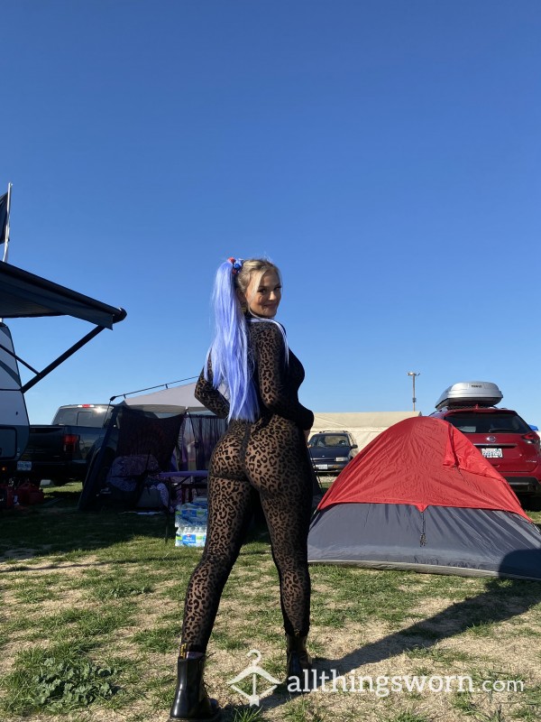 Festival Cat Suit