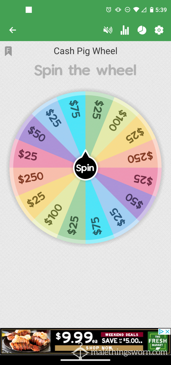 Cash Pig Wheel