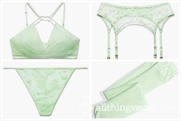 Flor*l, Pale Green Bra, Panty, And Garter Belt W/ Stockings: Pre-made Photo Set [Price Varies Based On Size Of Set]