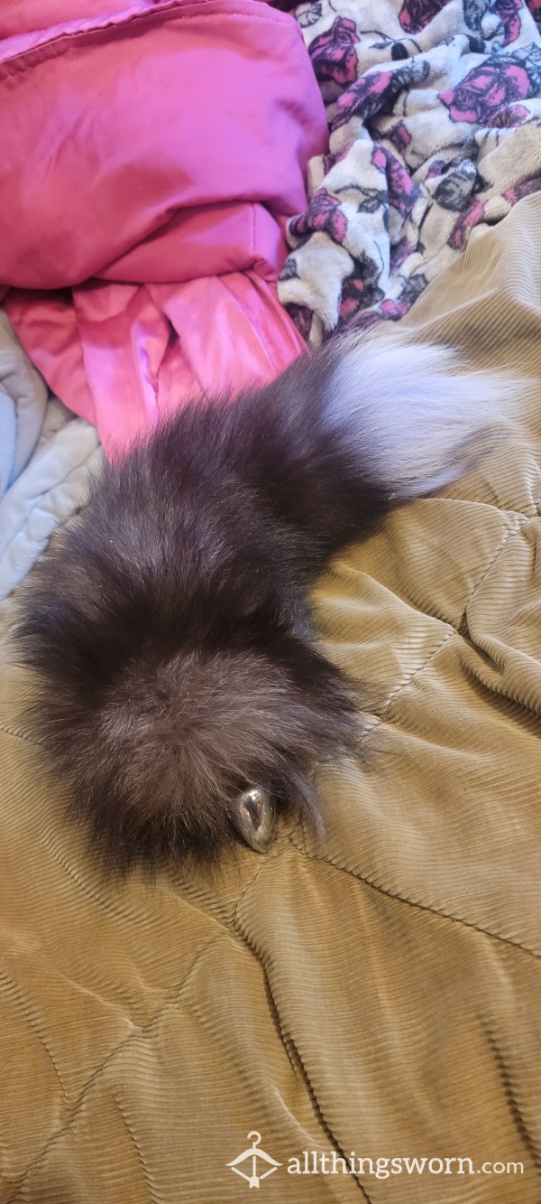 Fox Tail