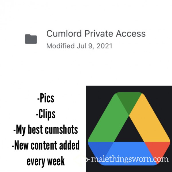 Google Drive Access