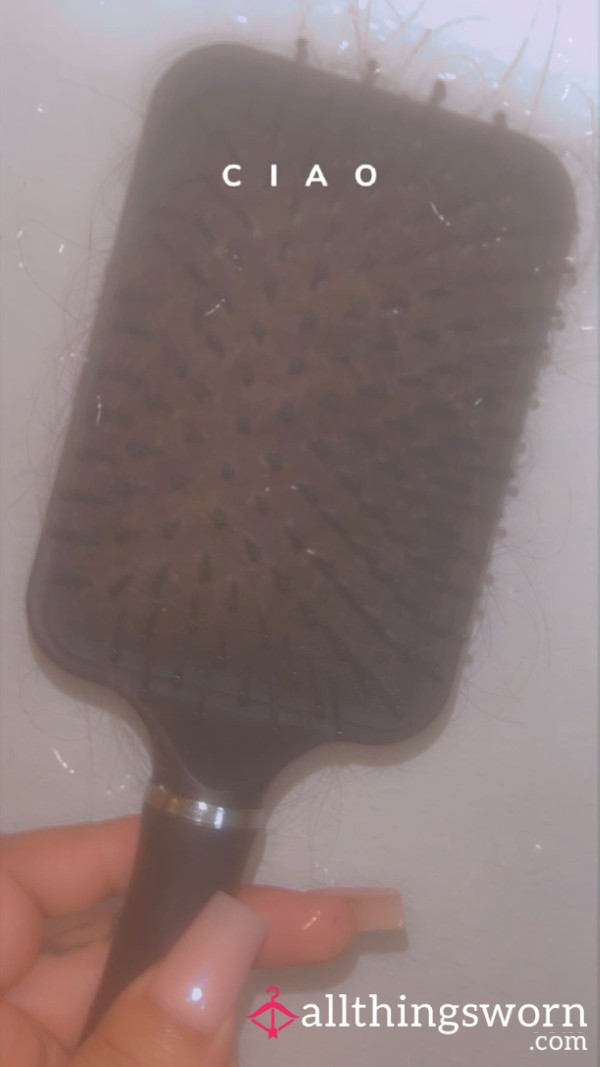 Hair Brush Hair Bundle