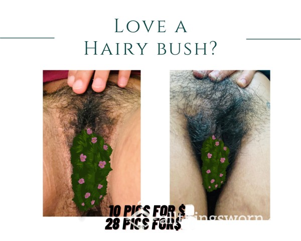 HAIRY Pu**yPICS