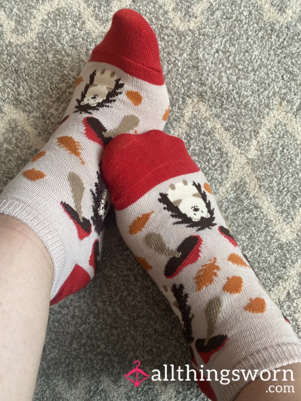 Hedgehog & Mushroom Socks