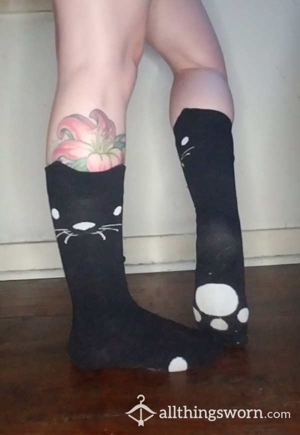 Kitty Cat Socks