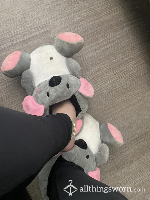 Koala Slippers