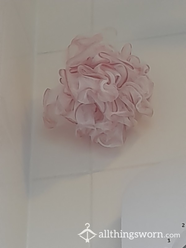 Loofa