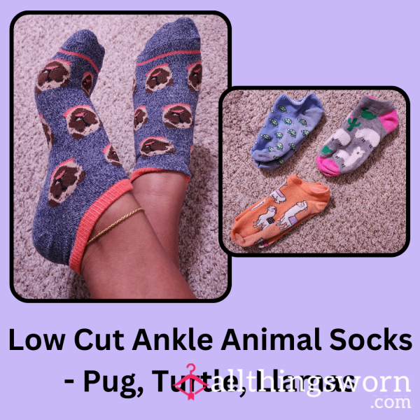 Low Cut Ankle Animal Socks - Pug, Turtle, Llamas