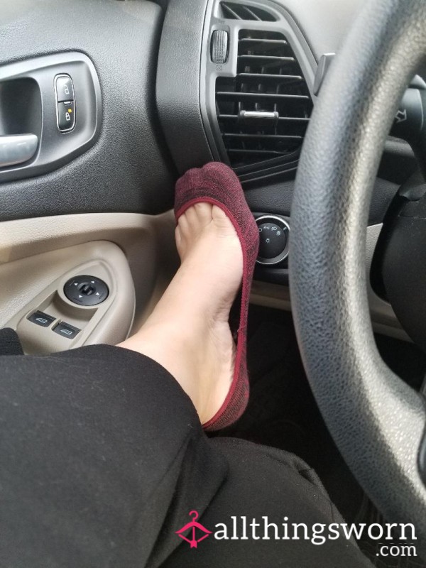 Sketchers Maroon No Show Socks