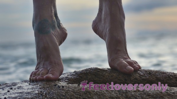 Mermaids Feet At The Rocky Shore