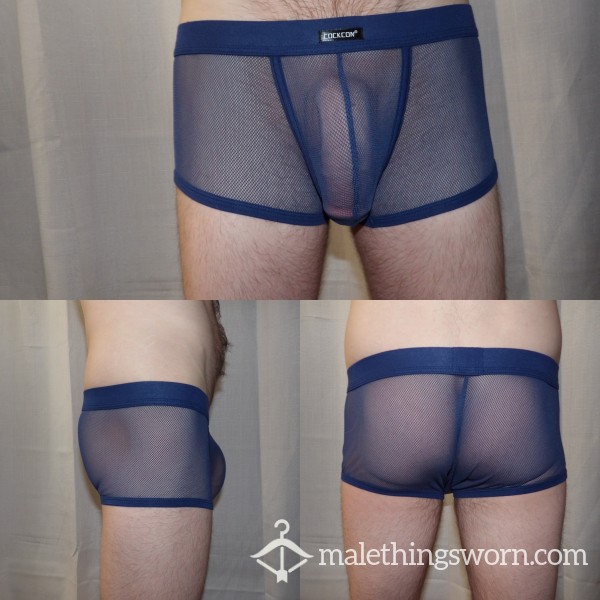 Mesh Briefs