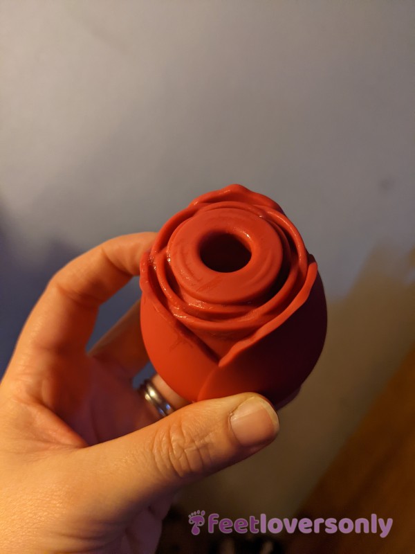 My Favourite Rose S** Toy