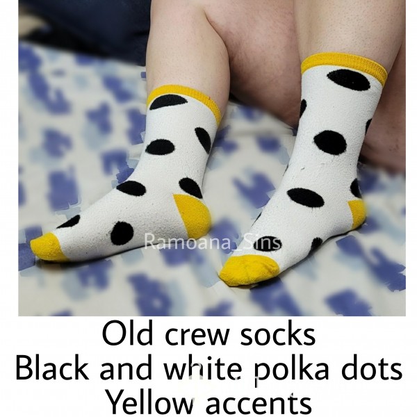 OLD CREW SOCKS