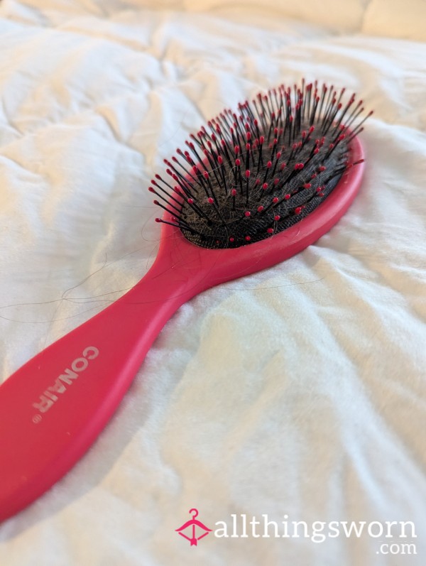 Old Hairbrush W/ Hair