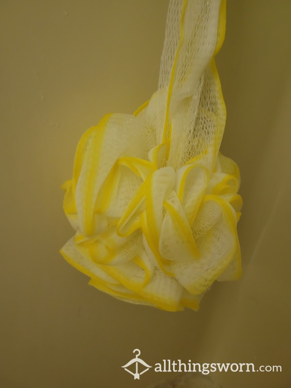 Old Loofah