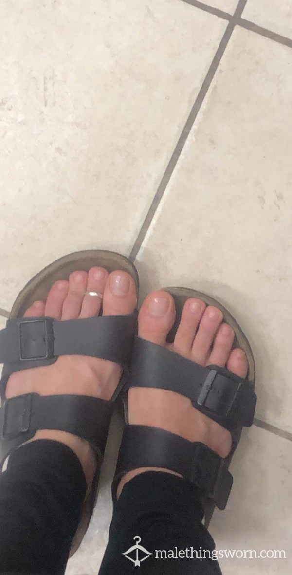 Old Smelly Birks