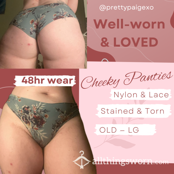 Stained Cheeky Flor*l Panties 🩷 OLD & Well- Worn 💋 Nylon & Lace, Size Large— 48hr Wear