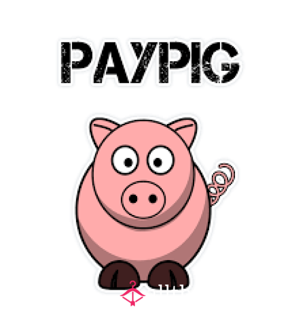 Paypig