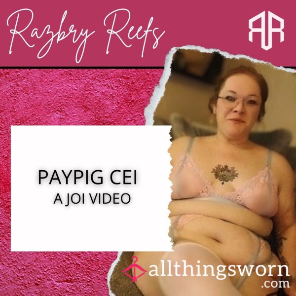 PayPig CEI